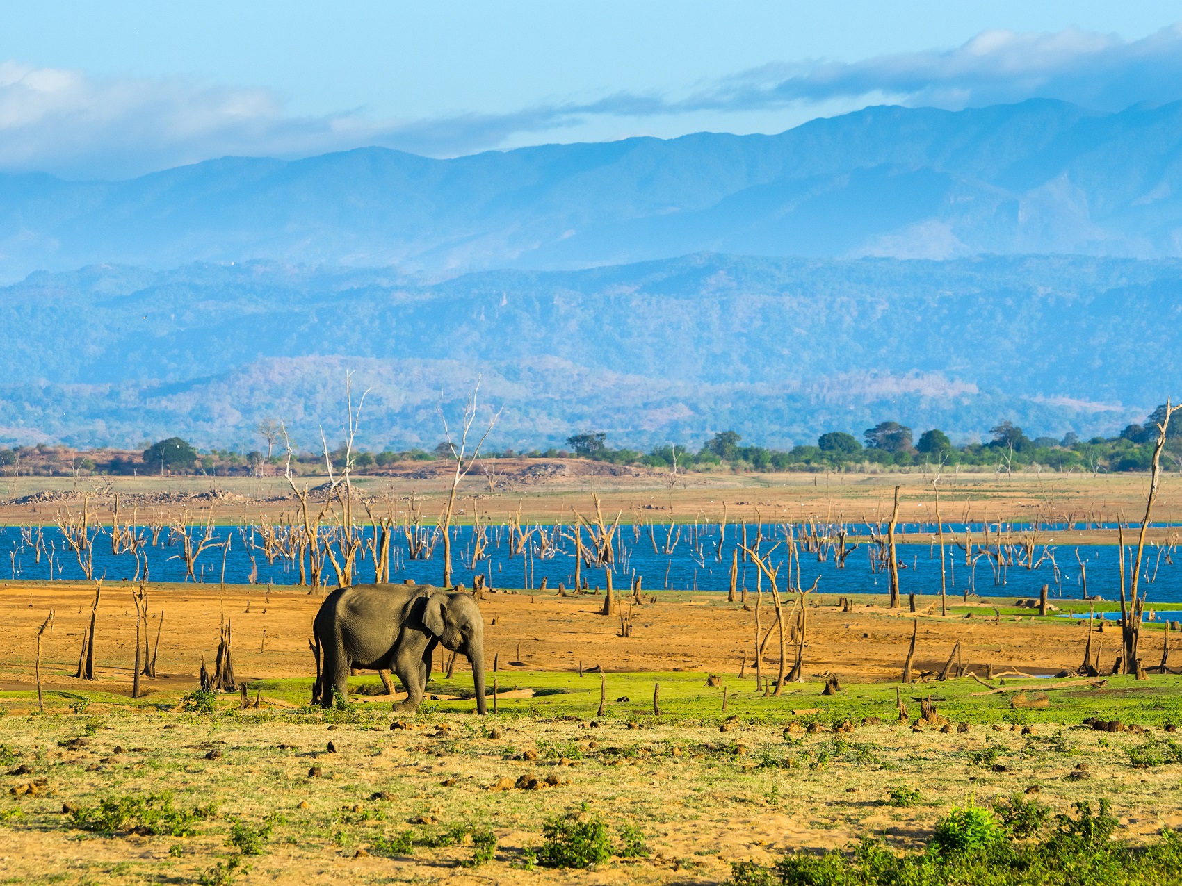 Photos from our Sri Lanka - Classic Cycling Holiday